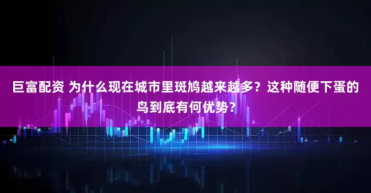 巨富配资 为什么现在城市里斑鸠越来越多？这种随便下蛋的鸟到底有何优势？