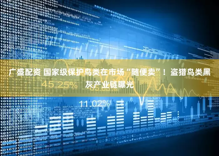 广盛配资 国家级保护鸟类在市场“随便卖”！盗猎鸟类黑灰产业链曝光