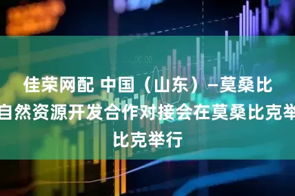 佳荣网配 中国（山东）—莫桑比克自然资源开发合作对接会在莫桑比克举行